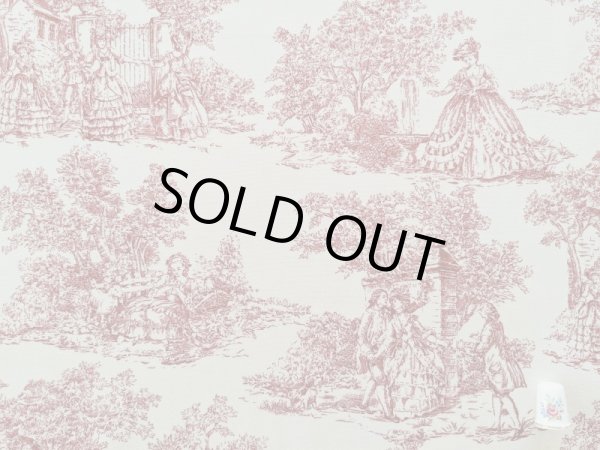 画像4: トワルドジュイ柄 (4)