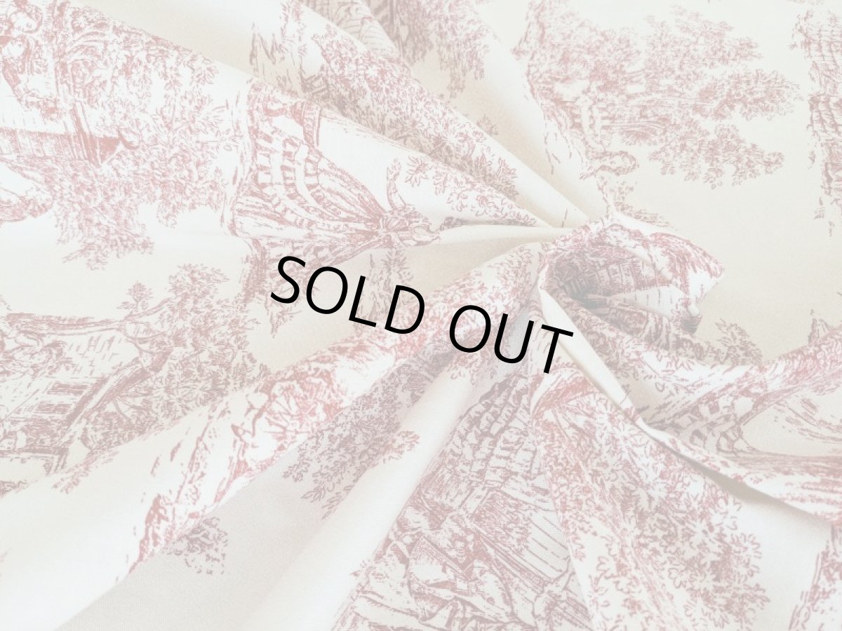 画像6: トワルドジュイ柄 (6)