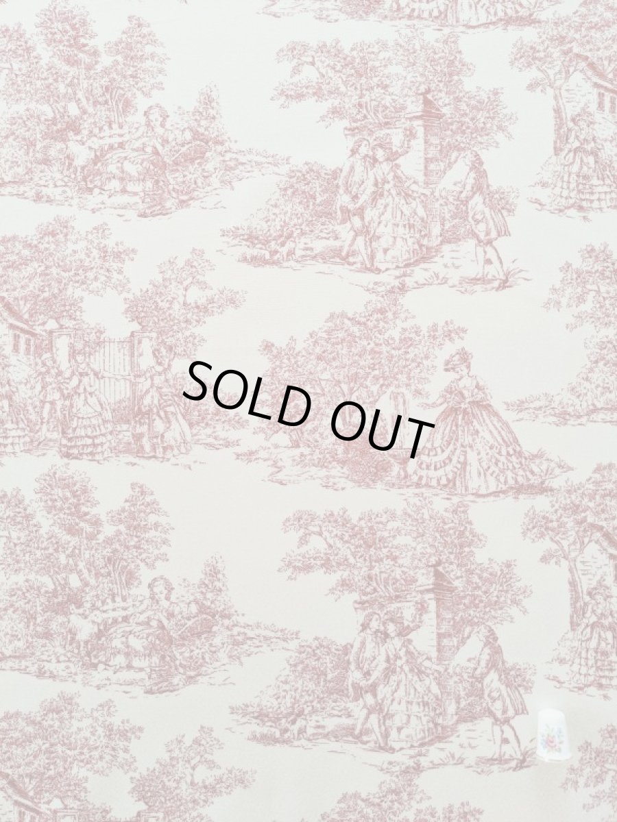 画像1: トワルドジュイ柄 (1)