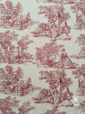 画像1: トワルドジュイ柄 (1)