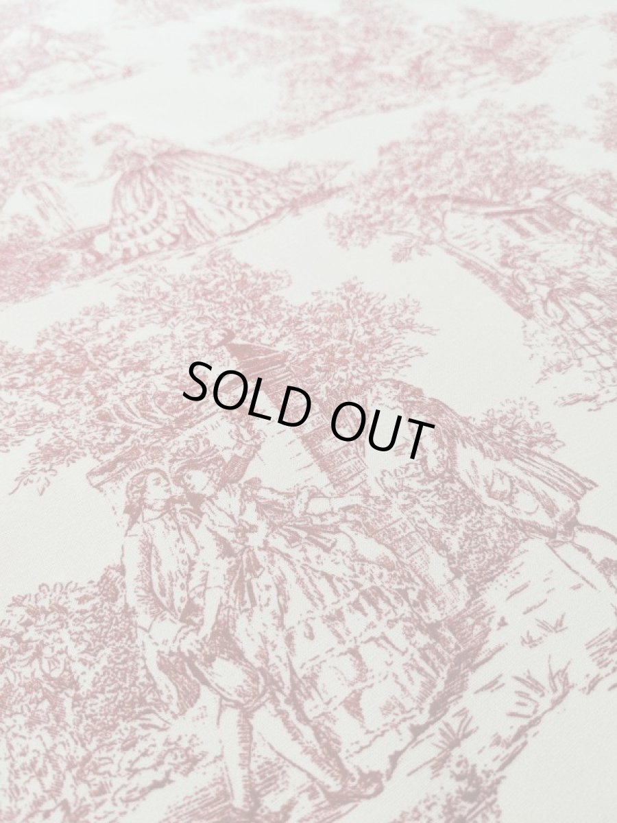 画像2: トワルドジュイ柄 (2)