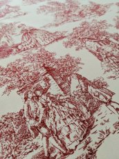 画像2: トワルドジュイ柄 (2)