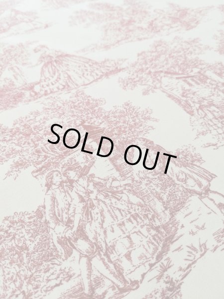 画像2: トワルドジュイ柄 (2)