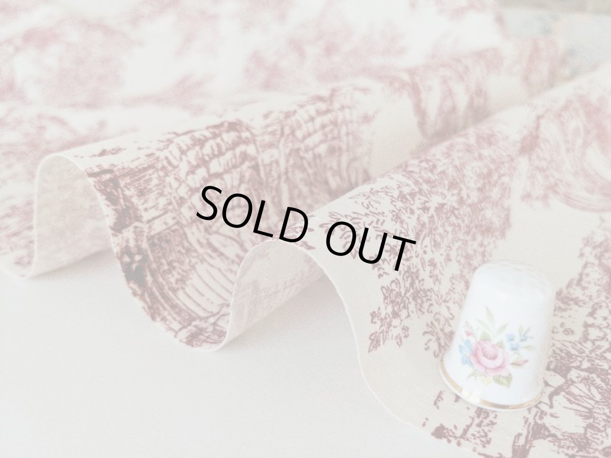 画像5: トワルドジュイ柄 (5)