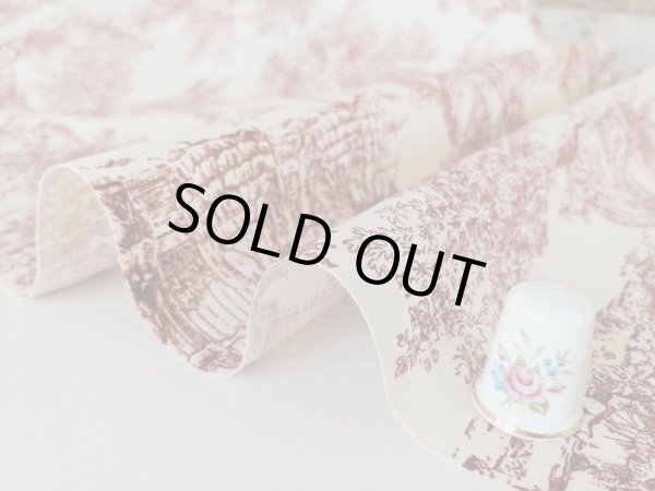 画像5: トワルドジュイ柄 (5)