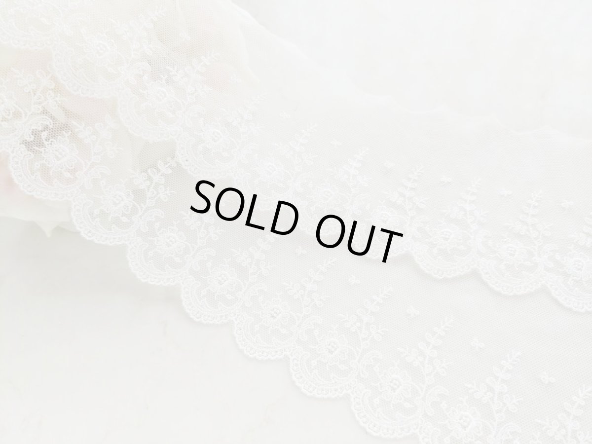 画像2: チュールレース (2)