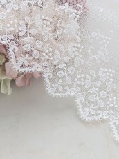 画像1: チュールレース (1)