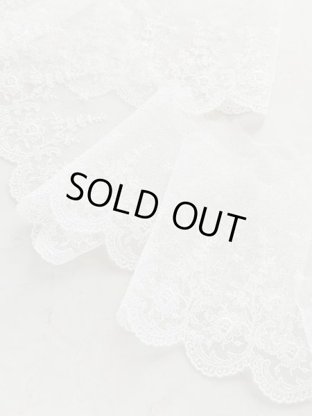 画像5: チュールレース (5)