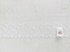 画像4: チュールレース (4)