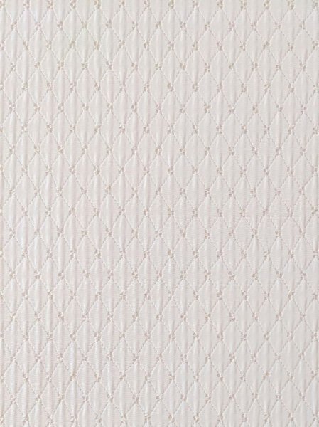 画像2: ジャガード生地 (2)