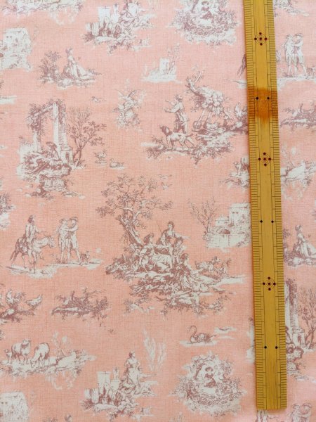 画像4: トワルドジュイ柄 (4)