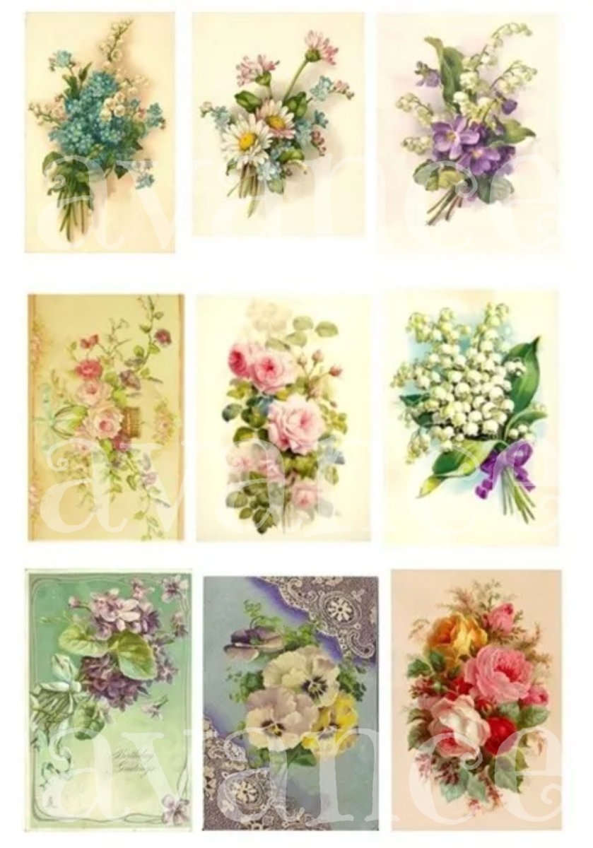 画像1: 転写シート  (1)