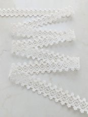 画像2: トーションレース (2)