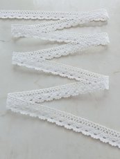 画像2: トーションレース (2)