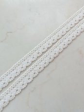 画像1: トーションレース (1)