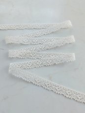 画像2: トーションレース (2)