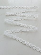 画像2: トーションレース (2)