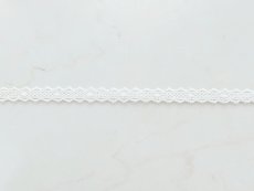 画像3: トーションレース (3)