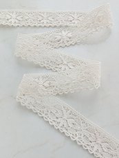 画像2: トーションレース (2)