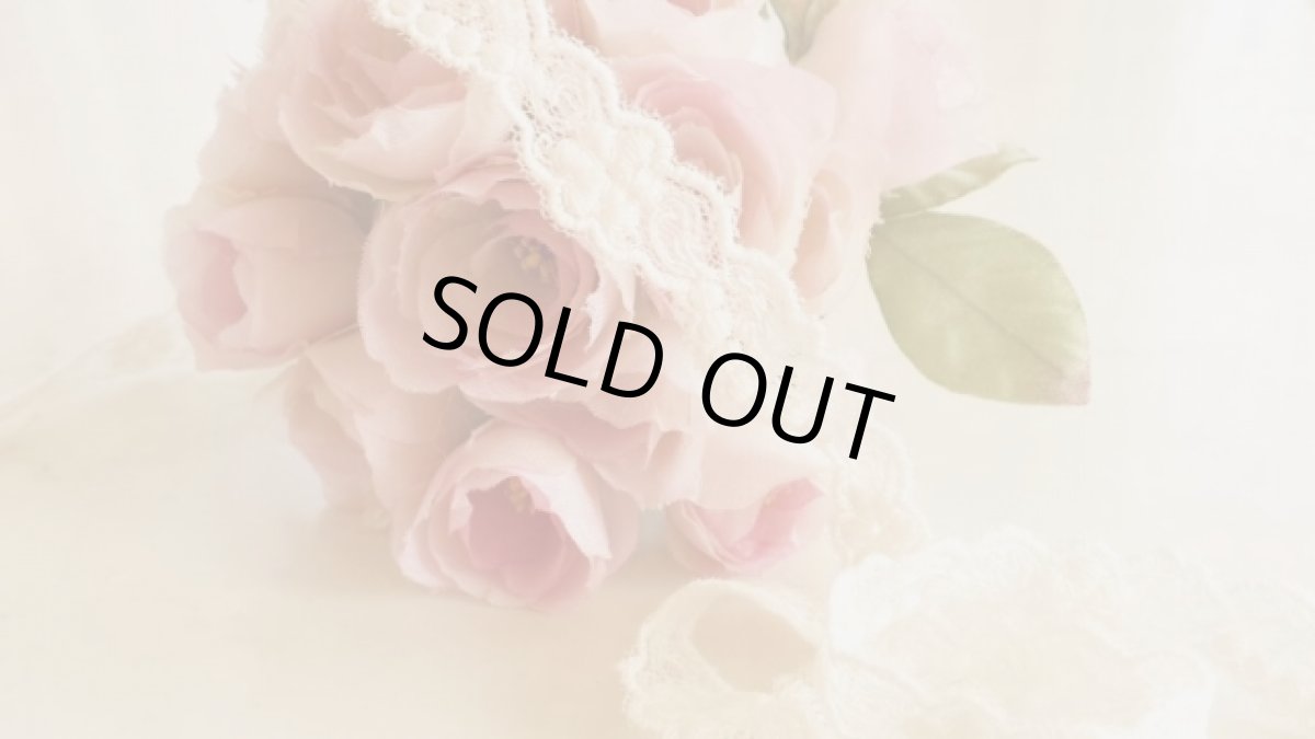 画像1: チュールレース　 (1)