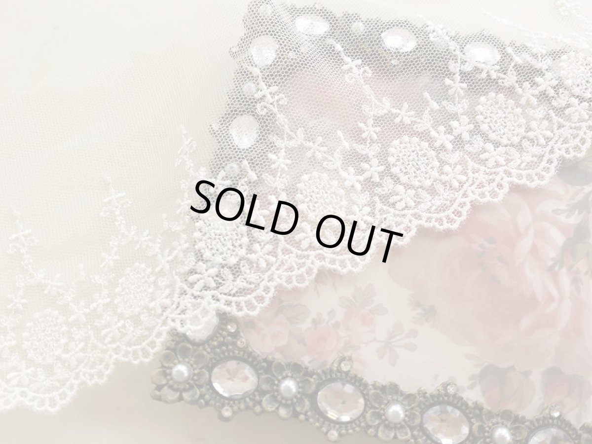 画像1: チュールレース　 (1)