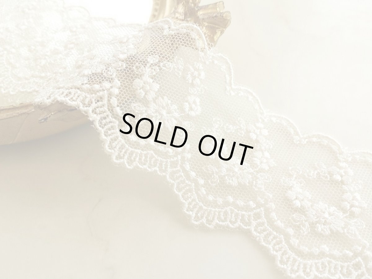 画像1: チュールレース (1)