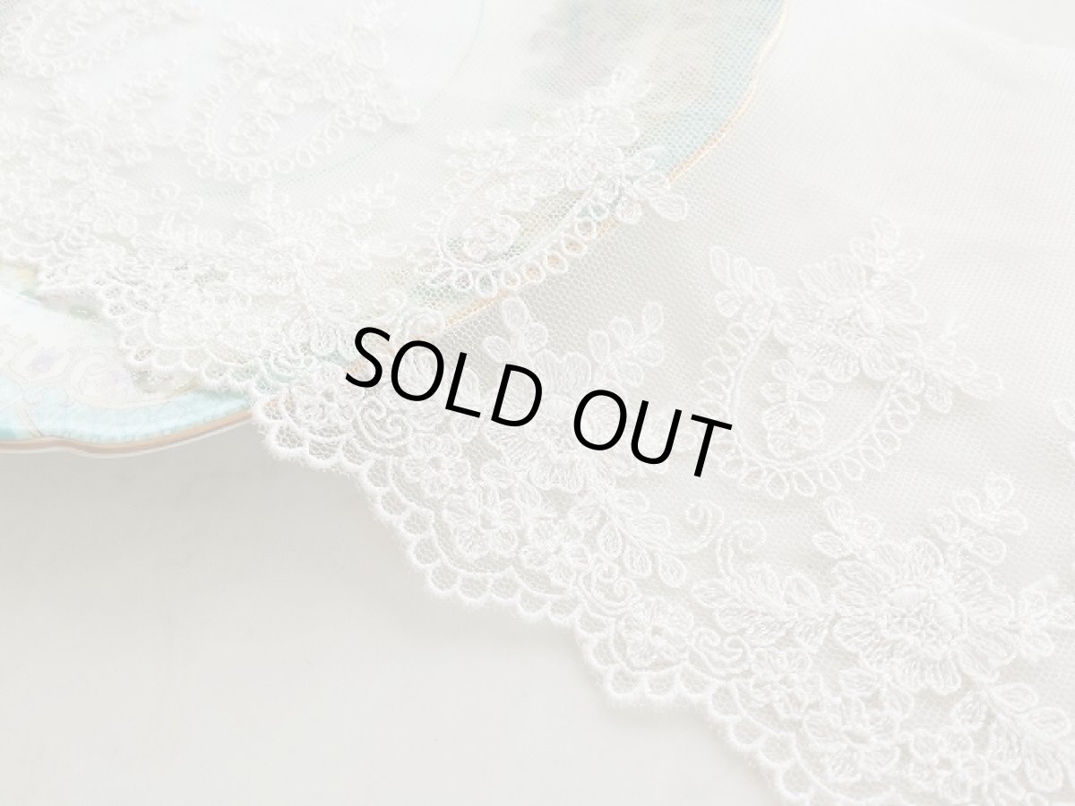 画像1: チュールレース (1)